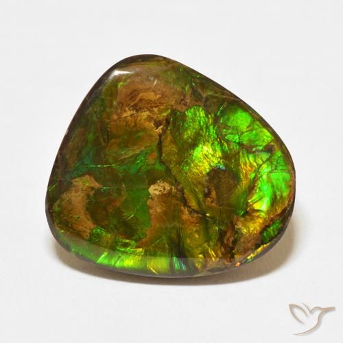 13.95ct 天然 彩色 菊石, 花式切割, 不透明