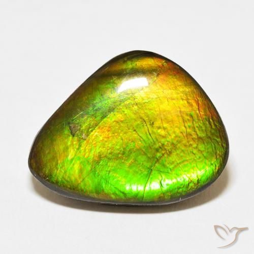 15.27ct 天然 彩色 菊石, 花式切割, 不透明