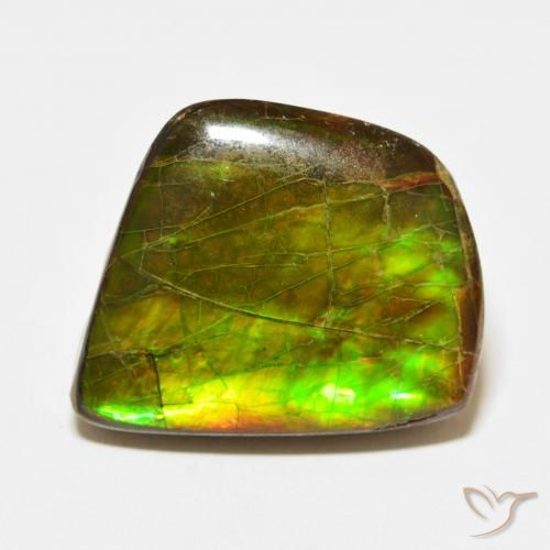 21.56ct 天然 彩色 菊石, 花式切割, 不透明