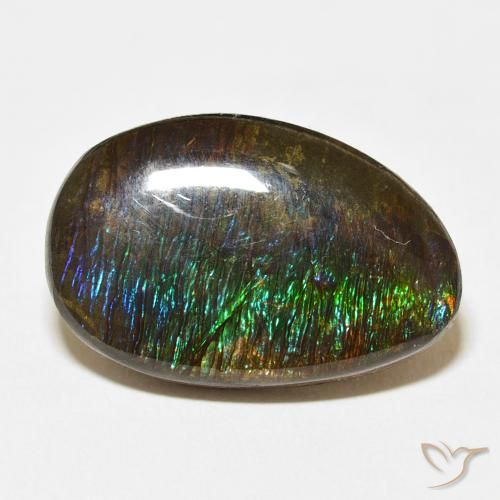 14.24ct 天然 彩色 菊石, 花式切割, 不透明