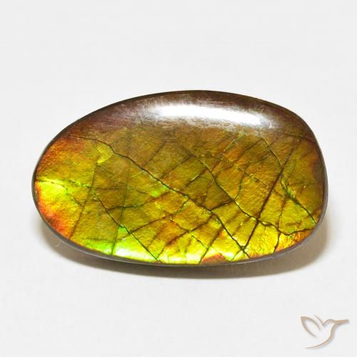13.58ct 天然 彩色 菊石, 花式切割, 不透明