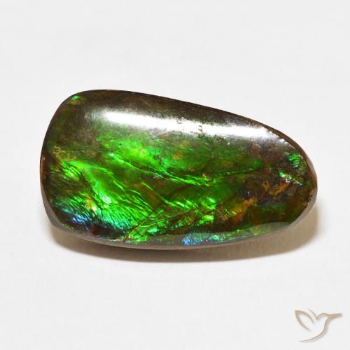 12.15ct 天然 彩色 菊石, 花式切割, 不透明
