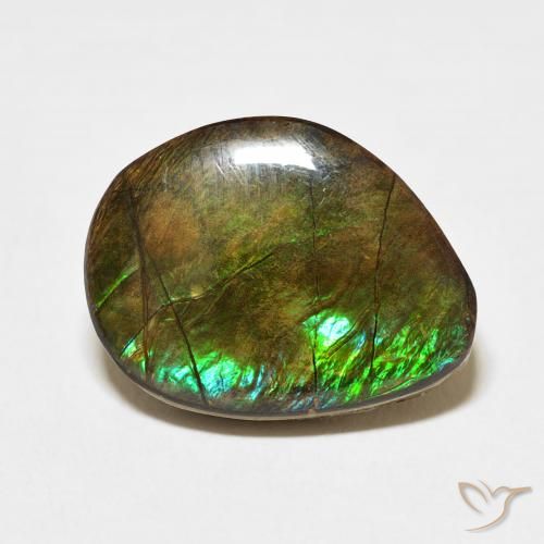 11.66ct 天然 彩色 菊石, 花式切割, 不透明