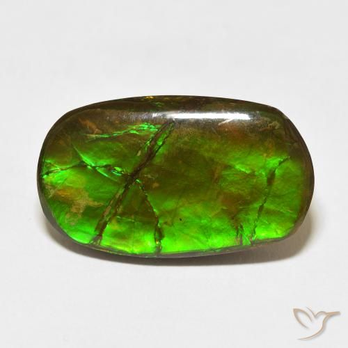 18.47ct 天然 彩色 菊石, 花式切割, 不透明
