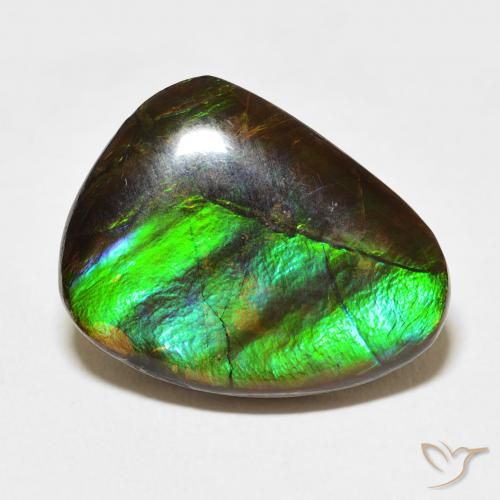11.84ct 天然 彩色 菊石, 花式切割, 不透明