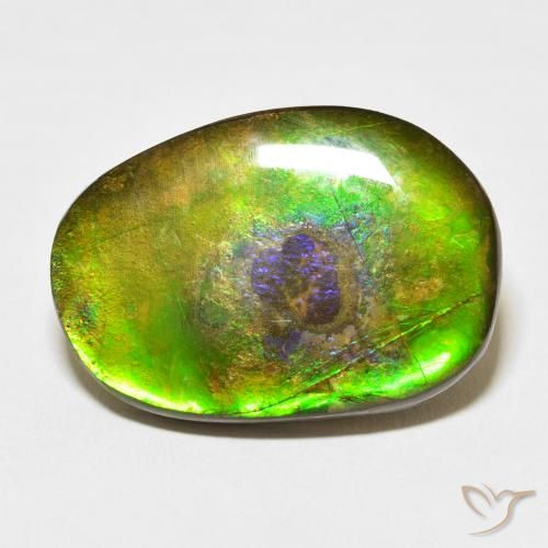 21.49ct 天然 彩色 菊石, 花式切割, 不透明
