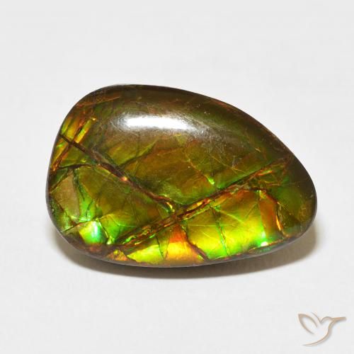 11.07ct 天然 彩色 菊石, 花式切割, 不透明