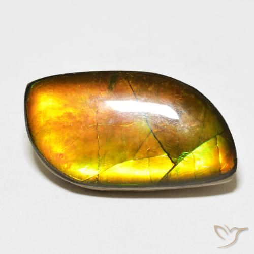 14.45ct 天然 彩色 菊石, 花式切割, 不透明