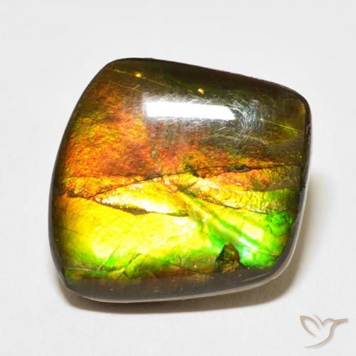 13.63ct 天然 彩色 菊石, 花式切割, 不透明