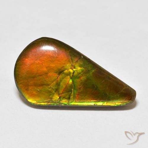 16.88ct 天然 彩色 菊石, 梨形, 不透明