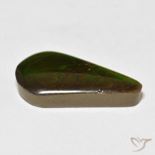16.88克拉天然菊石，梨形，不透明