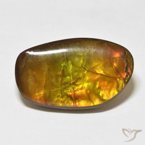 17.48ct 天然 彩色 菊石, 花式切割, 不透明