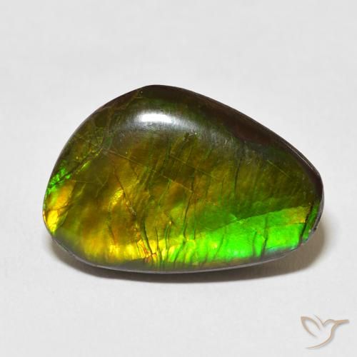 13.79ct 天然 彩色 菊石, 花式切割, 不透明
