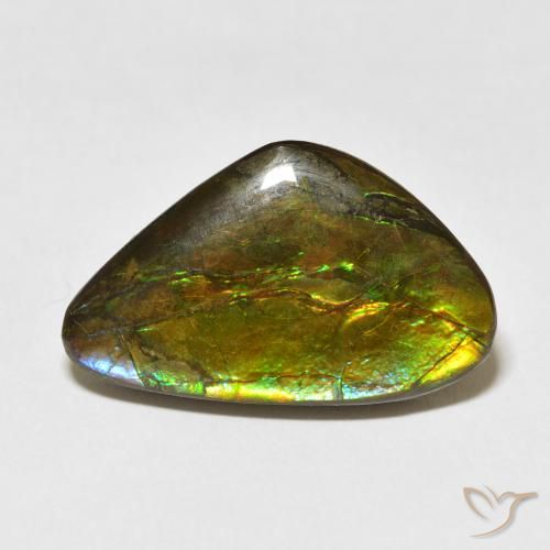 13.60ct 天然 彩色 菊石, 花式切割, 不透明