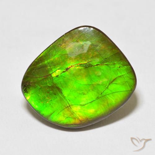 10.95ct 天然 彩色 菊石, 花式切割, 不透明