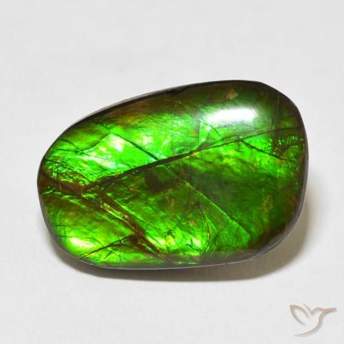 13.96ct 天然 彩色 菊石, 花式切割, 不透明