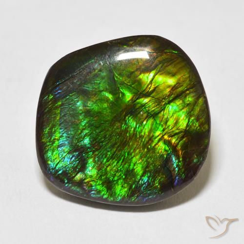 17.53ct 天然 彩色 菊石, 花式切割, 不透明