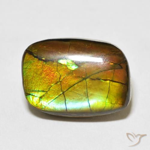 13.68ct 天然 彩色 菊石, 花式切割, 不透明