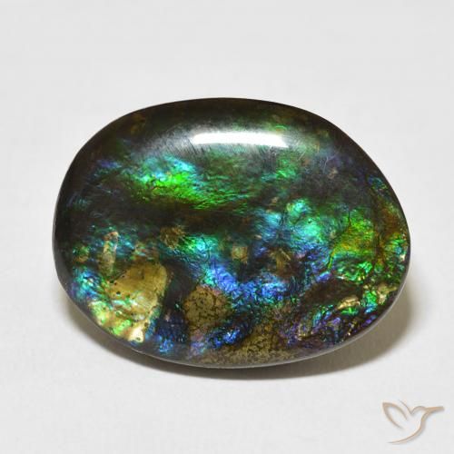 15.59ct 天然 彩色 菊石, 花式切割, 不透明