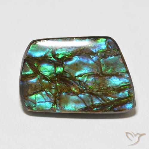 13.92ct 天然 彩色 菊石, 花式切割, 不透明