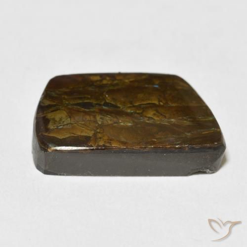 13.92克拉天然菊石，花式切割，不透明