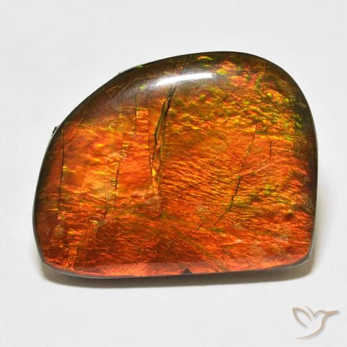 21.11ct 天然 彩色 菊石, 花式切割, 不透明