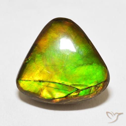 10.86ct 天然 彩色 菊石, 胖三角形, 不透明
