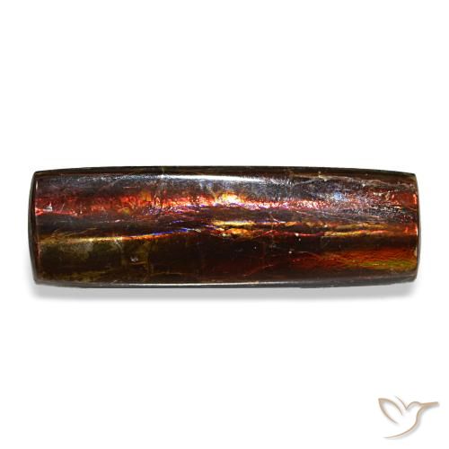 4.55克拉天然多色菊石宝石，长方形切工，18.7×5.9毫米，不透明