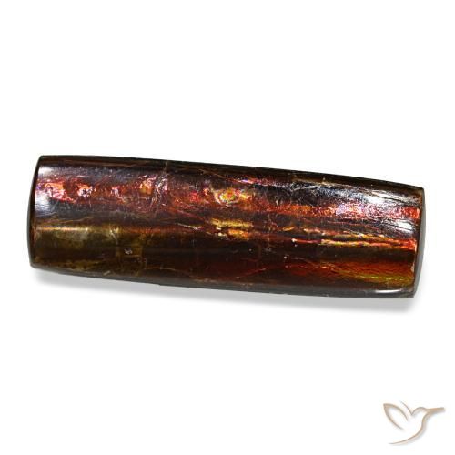 4.55克拉天然多色菊石宝石，长方形切工，18.7×5.9毫米，不透明