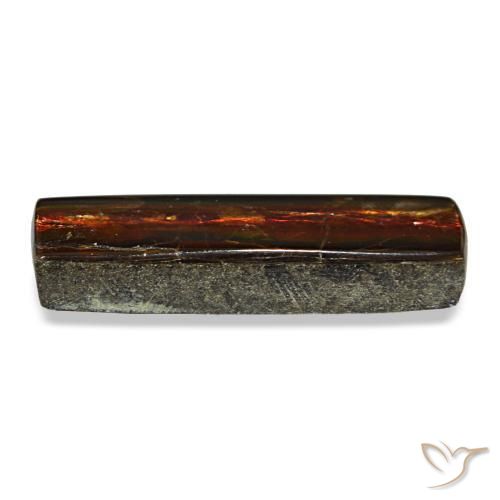 4.55克拉天然多色菊石宝石，长方形切工，18.7×5.9毫米，不透明