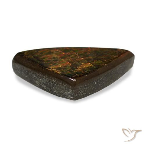 6.33克拉天然菊石宝石，三角形，不透明