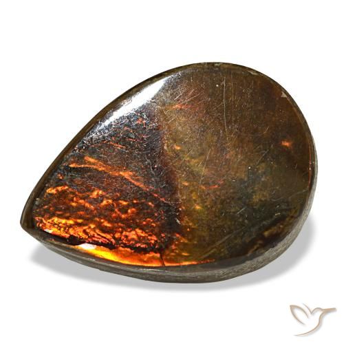5.02克拉天然多色菊石宝石，梨形，14.2×10.1毫米，不透明