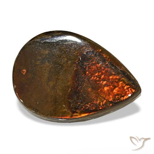 5.02克拉天然多色菊石宝石，梨形，14.2×10.1毫米，不透明