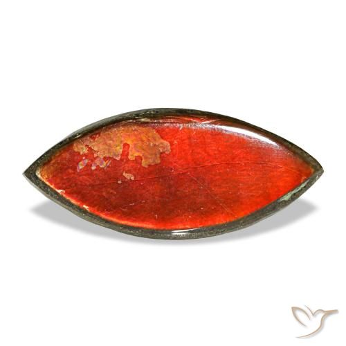 2.22克拉天然多色菊石宝石，马眼形，13.1×5.8毫米，不透明