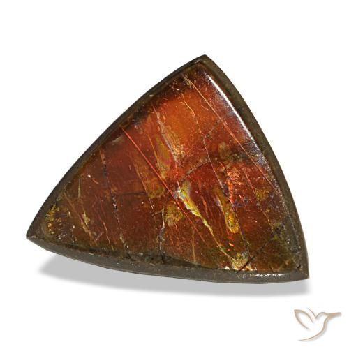 3.33克拉天然多色菊石宝石，三角形，12×9.5毫米，不透明