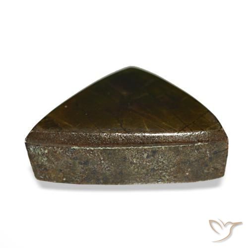 3.33克拉天然多色菊石宝石，三角形，12×9.5毫米，不透明