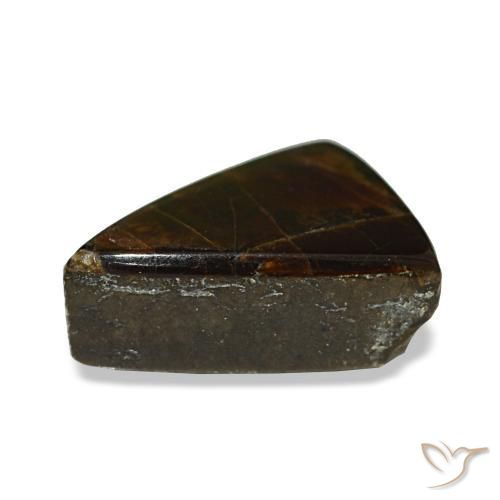 1.64克拉天然多色菊石宝石，三角形，8.8×7毫米，不透明