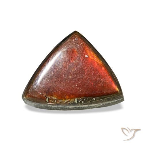 1.17克拉天然多色菊石宝石，三角形，8.2×6.3毫米，不透明
