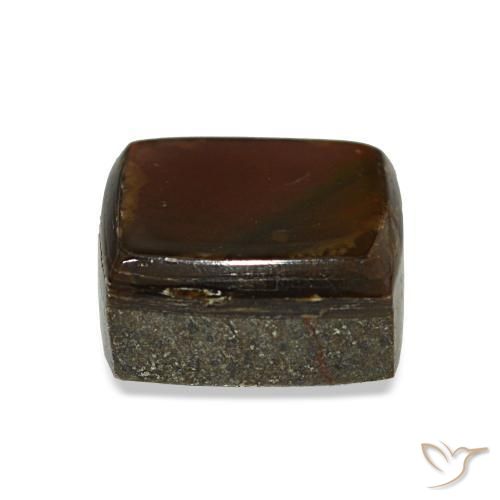 2.96克拉天然菊石宝石，长方形切工，不透明