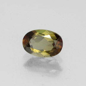 0.50克拉天然多色红柱石，椭圆形切割，6.2×4.2毫米，VVS-VS