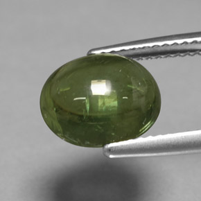 4.46克拉天然绿色磷灰石，椭圆形切割，10.5×8.8毫米，透明