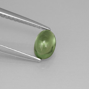 0.63克拉天然绿色磷灰石，椭圆形切割，5.9×4.1毫米，透明