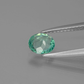 0.62克拉天然绿色磷灰石，椭圆形切割，6.3×5.3毫米，VVS-VS