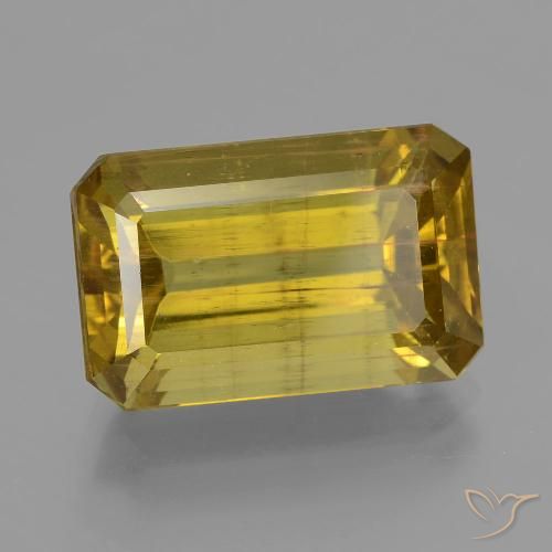 12.73ct 天然 第戎黄 磷灰石, 祖母绿式切割, VS