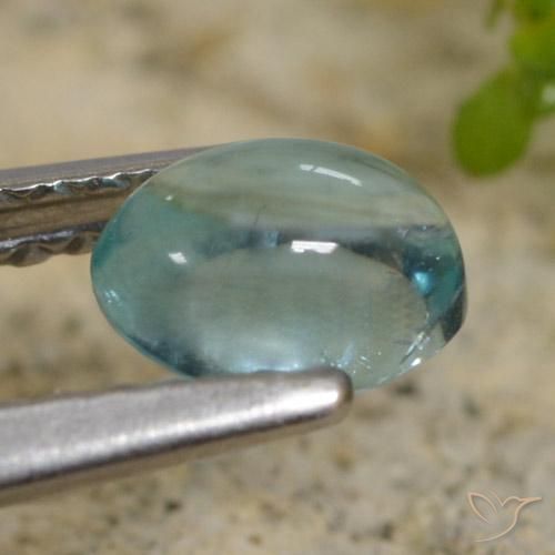 0.62克拉天然磷灰石，椭圆形，透明