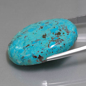 46.34克拉天然蓝铜矿，椭圆形切割，不透明