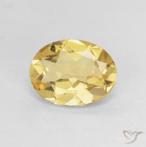 1.59ct 天然 大黄蜂黄 绿柱石, 椭圆形, VS