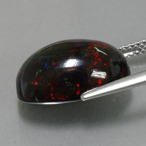 5.81克拉天然多色黑欧泊，椭圆形切割，15.7×10.4毫米，不透明