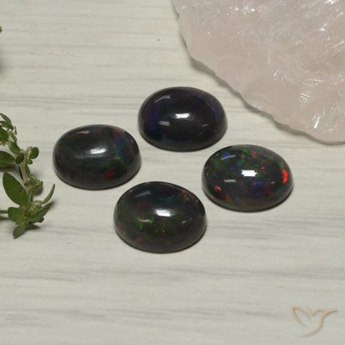 5.55ctw 天然 彩色 黑蛋白石, 椭圆形, 半透明