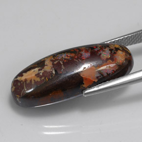 15.56克拉天然多色砾石欧泊，椭圆形切割，23.7×9.8毫米，不透明